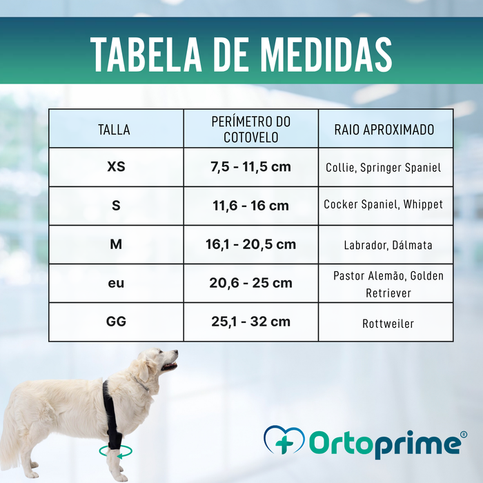 Órtese de Cotovelo para Cães com Artrose Reabilitação Canina