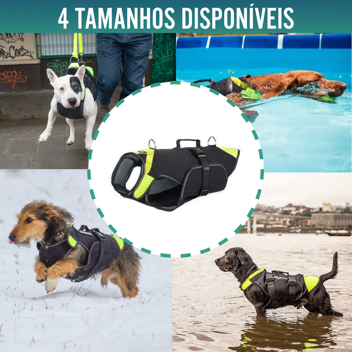 Arnês Canino Multifuncional 3 em 1 em Neoprene | 4 Tamanhos