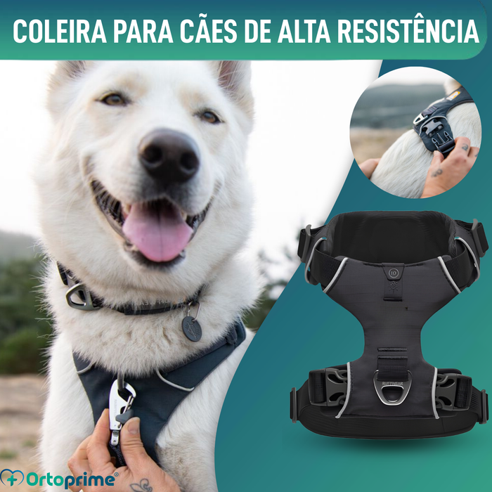 Arnês Acolchoado para Cães de Uso Diário | Dupla Fixação