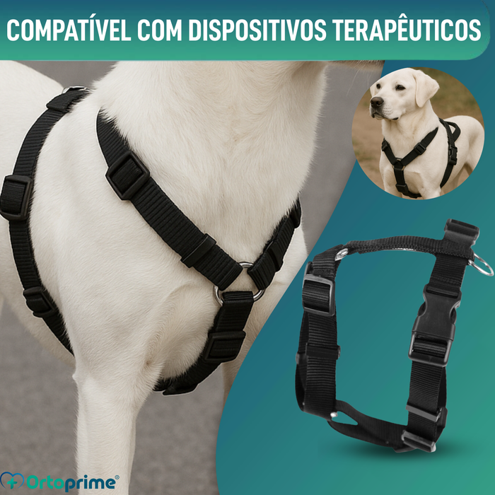 Arnês Canino para Reabilitação Neurológica | 5 Tamanhos