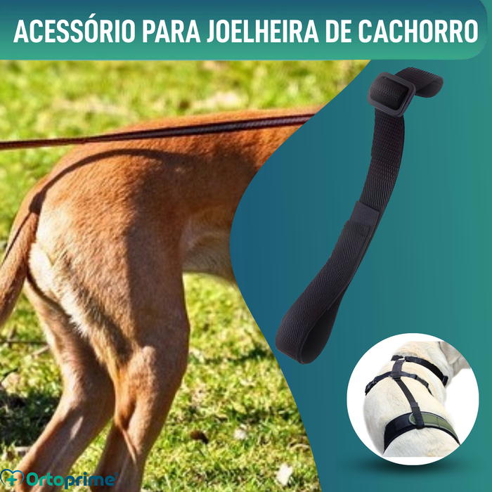 Cinta Canina de Sujeição Lombar para Imobilizador de Joelho