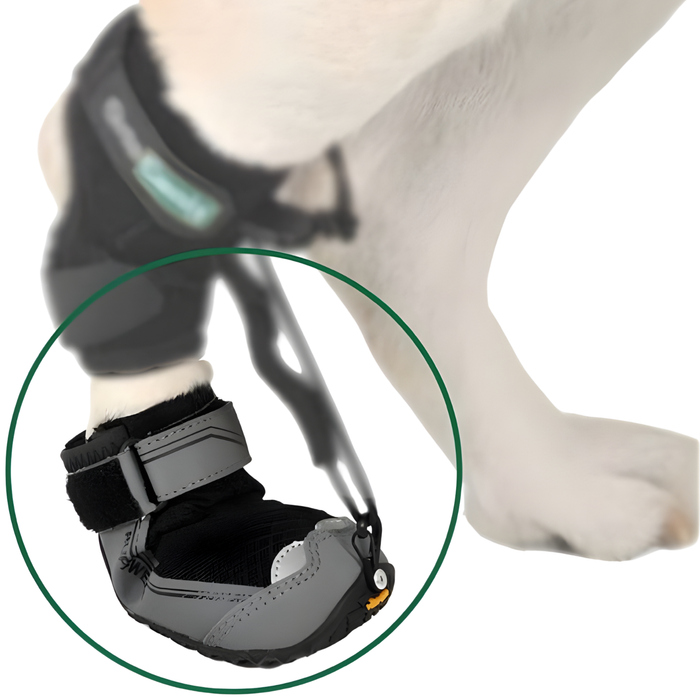 Bota para Corretor Proprioceptivo Canino | Sola de Borracha