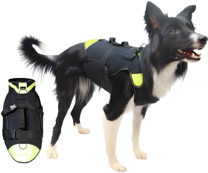 Arnês Canino Multifuncional 3 em 1 em Neoprene | 4 Tamanhos