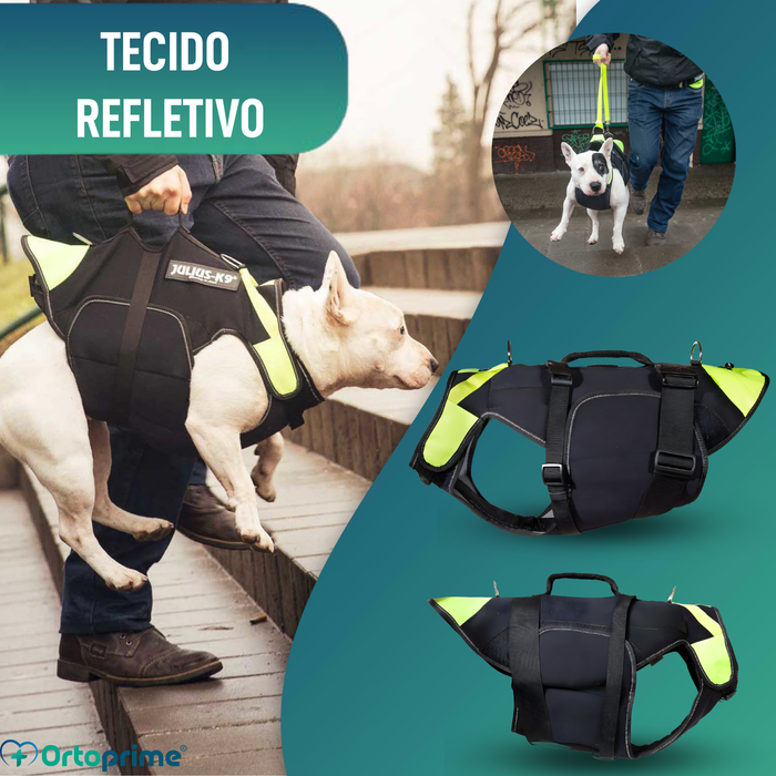Arnês Canino Multifuncional 3 em 1 em Neoprene | 4 Tamanhos