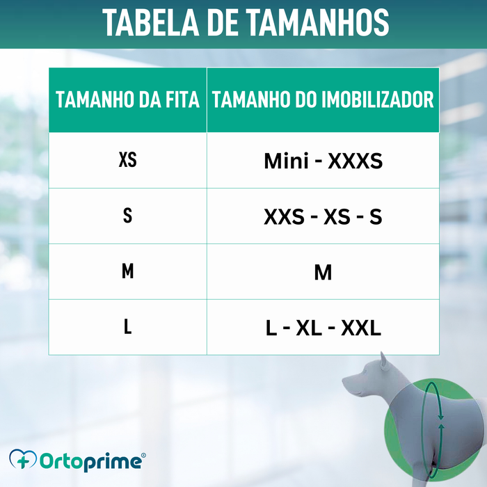 Cinta Canina de Sujeição Lombar para Imobilizador de Joelho