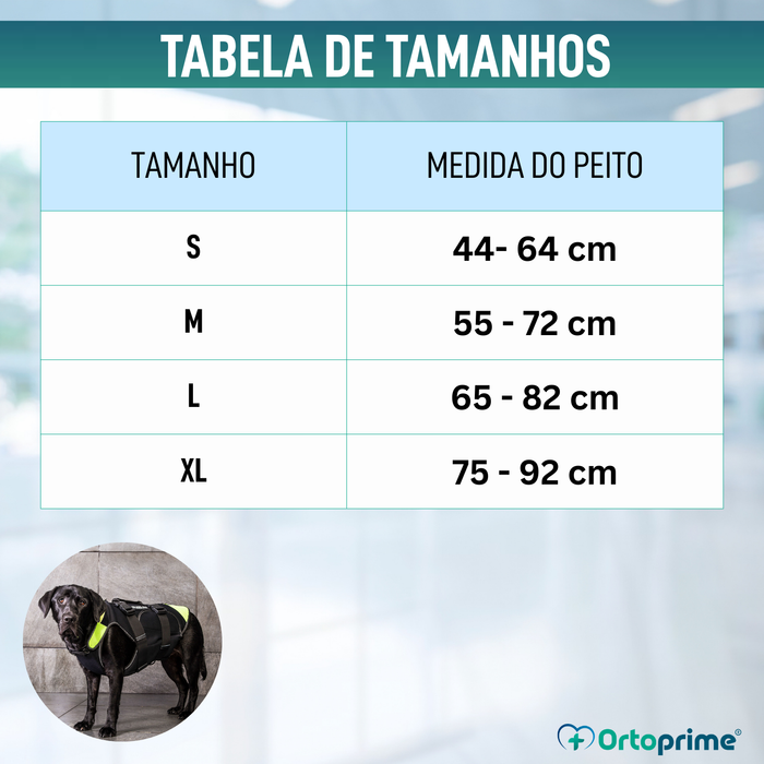 Arnês Canino Multifuncional 3 em 1 em Neoprene | 4 Tamanhos