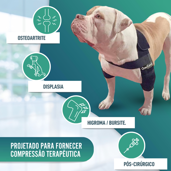Órtese de Cotovelo para Cães com Artrose Reabilitação Canina