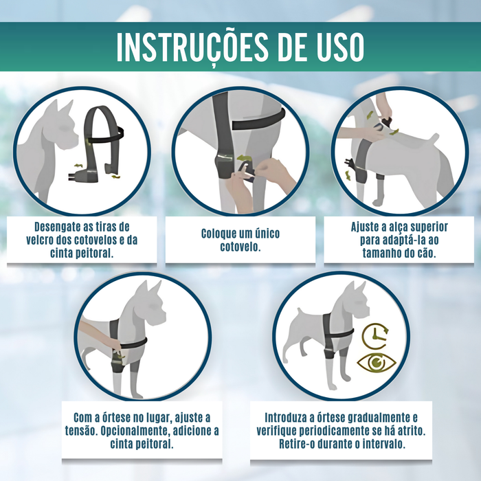 Órtese de Cotovelo para Cães com Artrose Reabilitação Canina