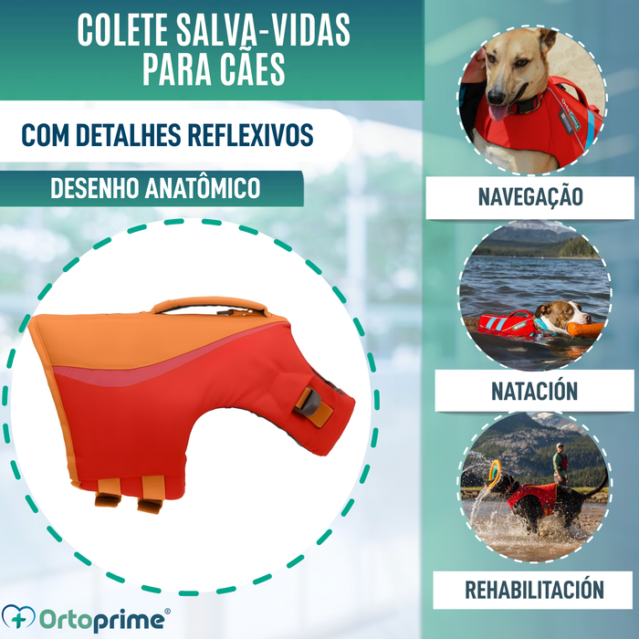 Colete Salva-Vidas para Cães Multiuso | Segurança Aquática