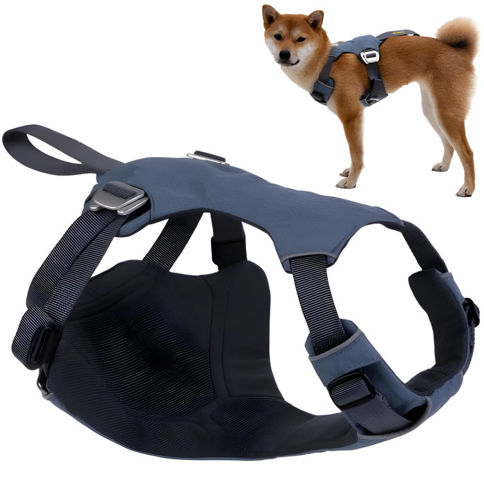 Arnês de Segurança para Transporte Canino | Alta Resistência
