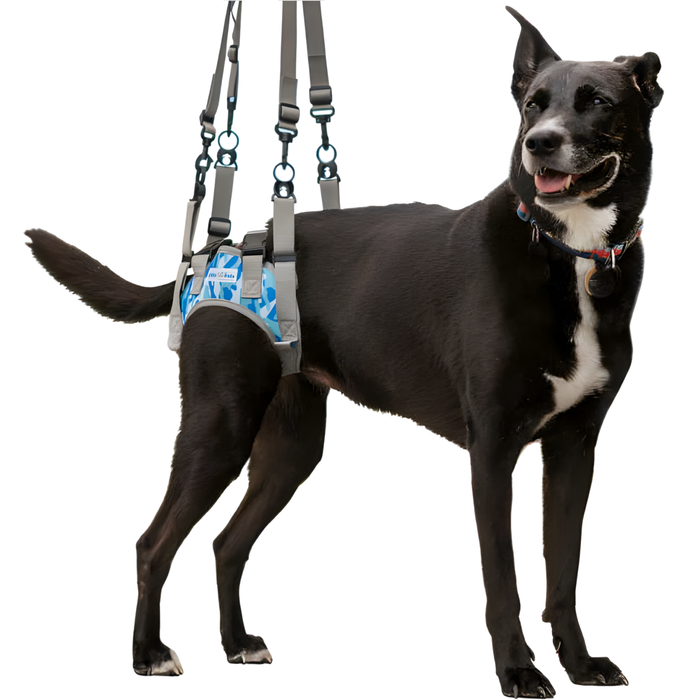 Arnês para Cães com Mobilidade Reduzida nas Patas Traseiras