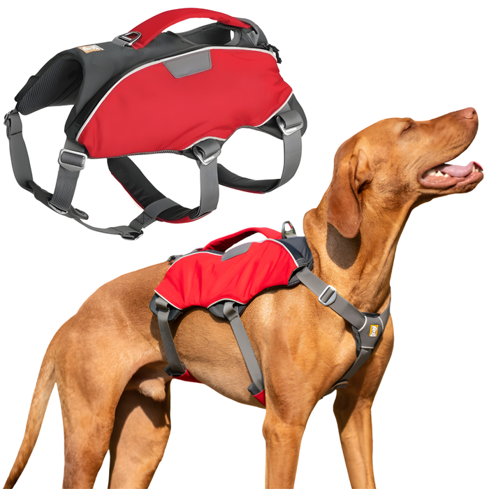 Arnês para Cão de Resgate | Alta Resistência
