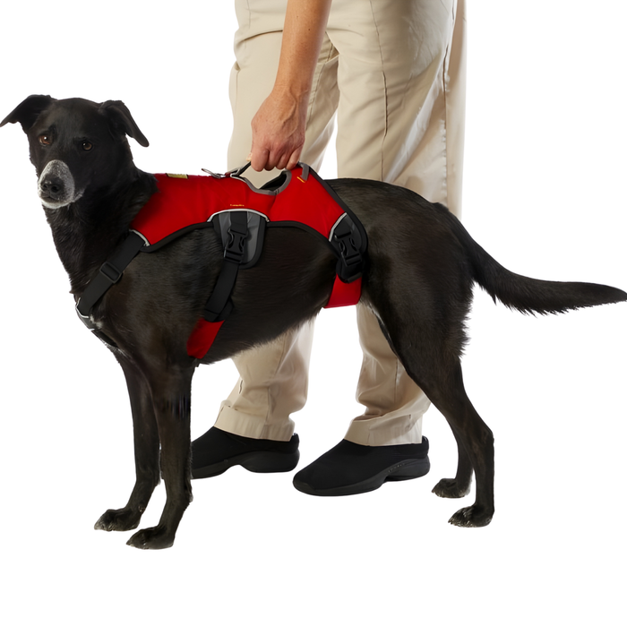 Arnês de Suporte para Cães de Serviço | 5 Tamanhos