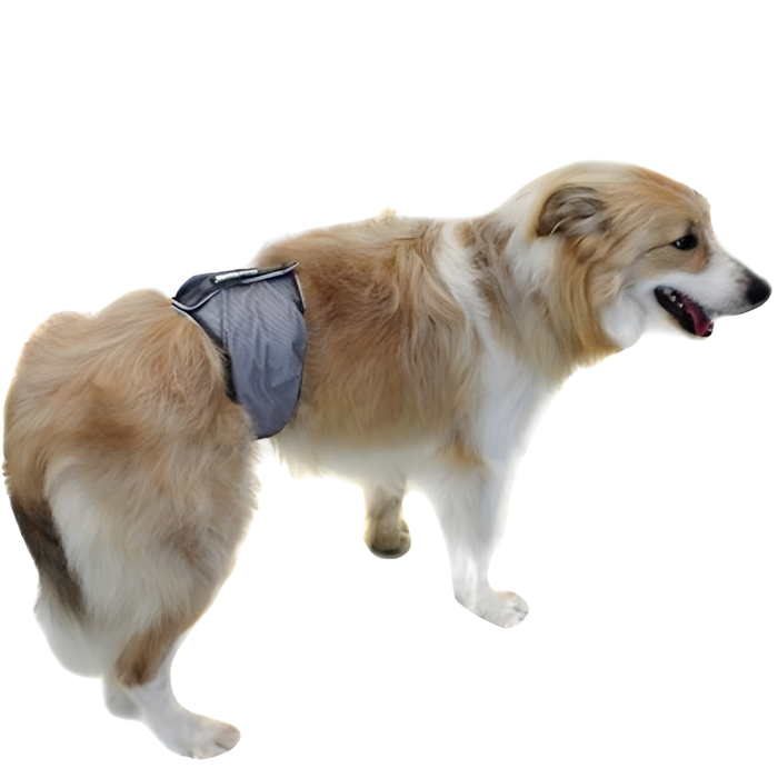Faixa Antigoteo para Incontinência Canina | Cão Macho