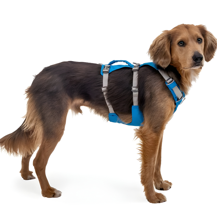Arnês de Elevação Multiuso Canino | Estrutura Resistente
