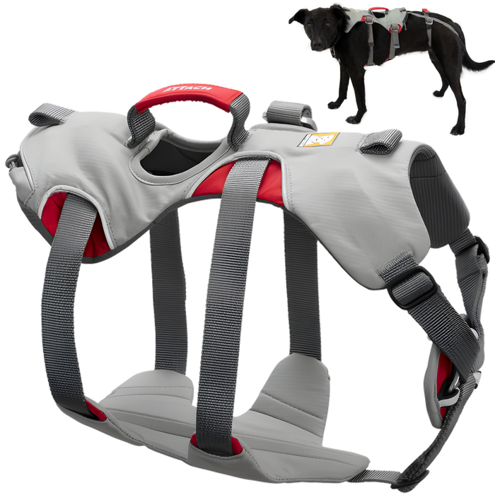 Arnês de Apoio para Cães de Alpinismo | Máxima Resistência