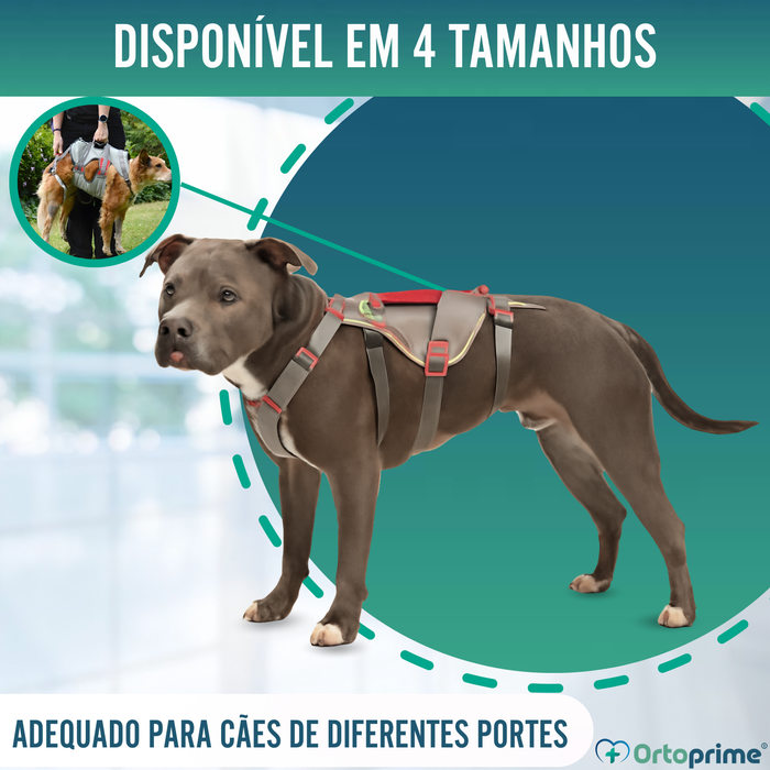 Arnês de Apoio para Cães de Alpinismo | Máxima Resistência