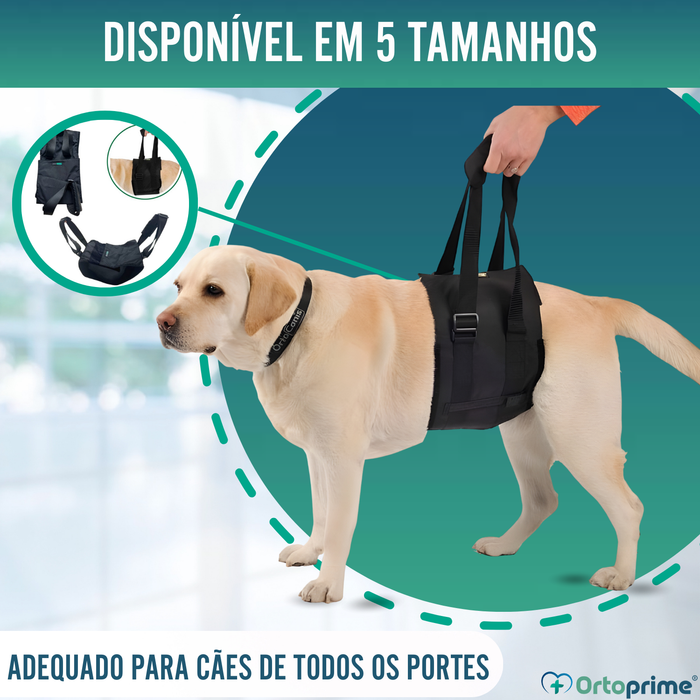 Banda de Apoio para Cães com Mobilidade Reduzida | 5 Tamanhos