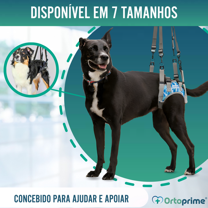Arnês para Cães com Mobilidade Reduzida nas Patas Traseiras