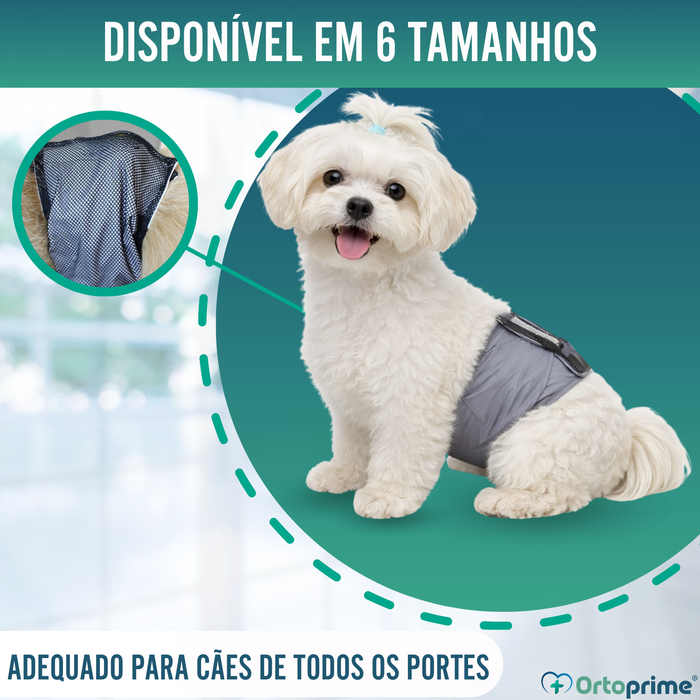 Faixa Antigoteo para Incontinência Canina | Cão Macho