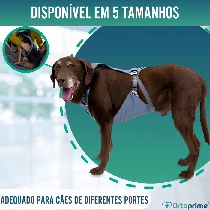Arnês de Segurança para Transporte Canino | Alta Resistência