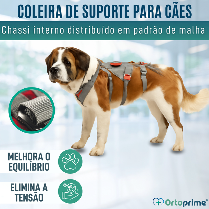 Arnês de Apoio para Cães de Alpinismo | Máxima Resistência