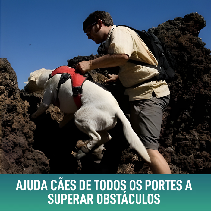 Arnês de Suporte para Cães de Serviço | 5 Tamanhos