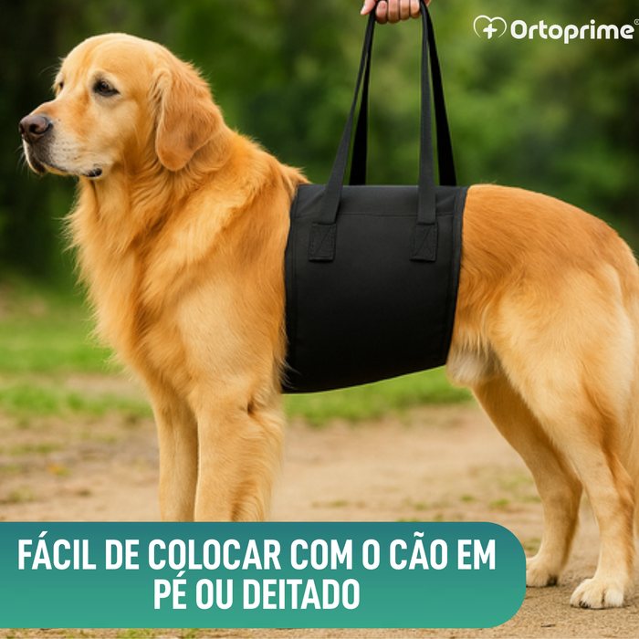 Banda de Apoio para Cães com Mobilidade Reduzida | 5 Tamanhos