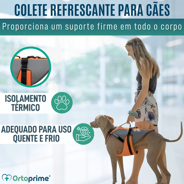 Arnês de Reabilitação Integral para Cães | Material 3D