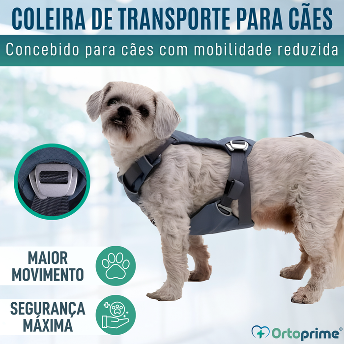 Arnês de Segurança para Transporte Canino | Alta Resistência