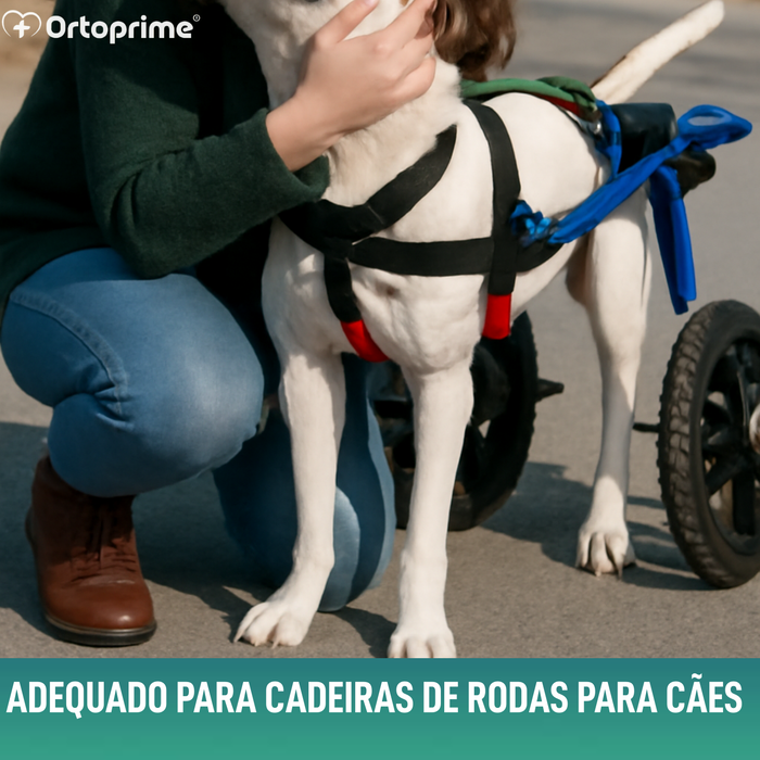 Arnês para Cães com Mobilidade Reduzida nas Patas Traseiras