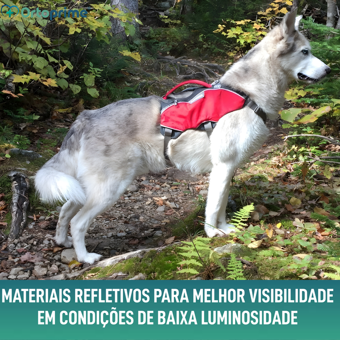 Arnês para Cão de Resgate | Alta Resistência