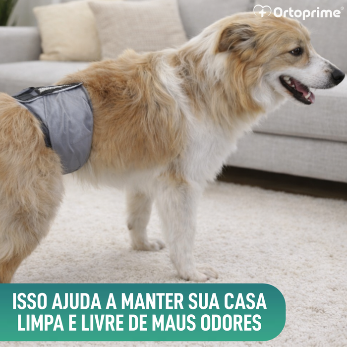 Faixa Antigoteo para Incontinência Canina | Cão Macho