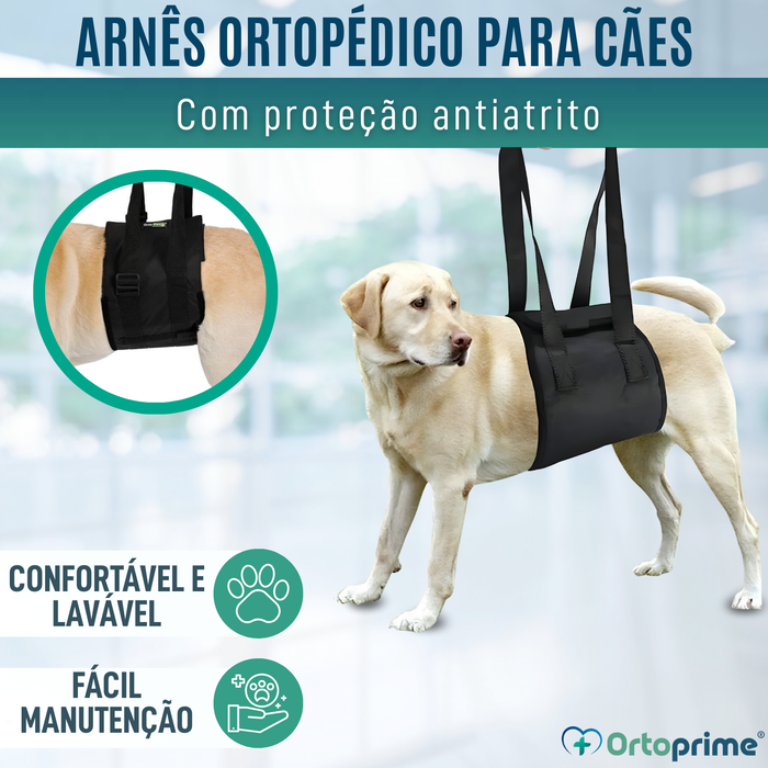 Banda de Apoio para Cães com Mobilidade Reduzida | 5 Tamanhos