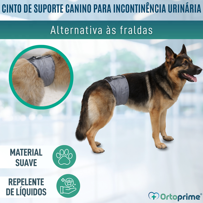 Faixa Antigoteo para Incontinência Canina | Cão Macho