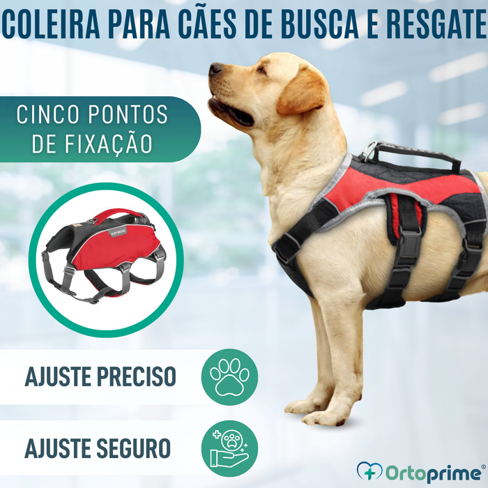 Arnês para Cão de Resgate | Alta Resistência