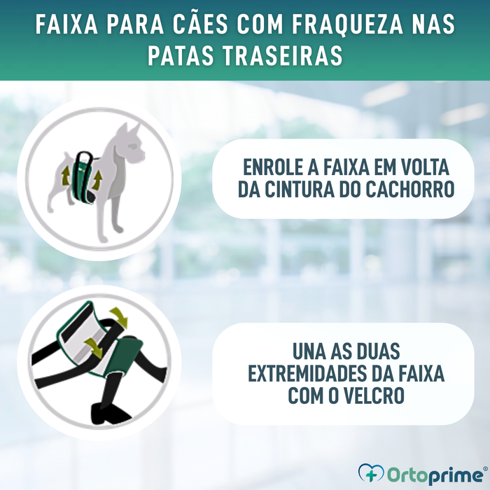 Banda de Apoio para Cães com Mobilidade Reduzida | 5 Tamanhos