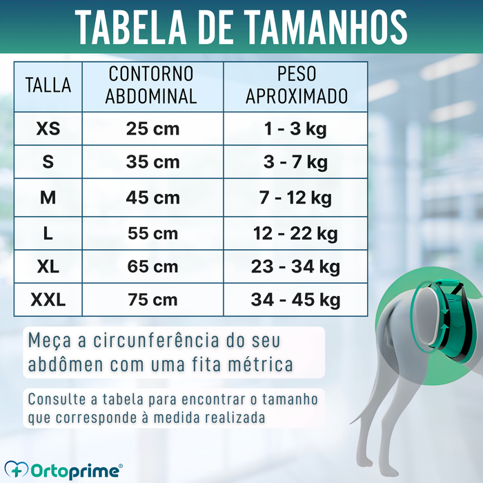 Faixa Antigoteo para Incontinência Canina | Cão Macho