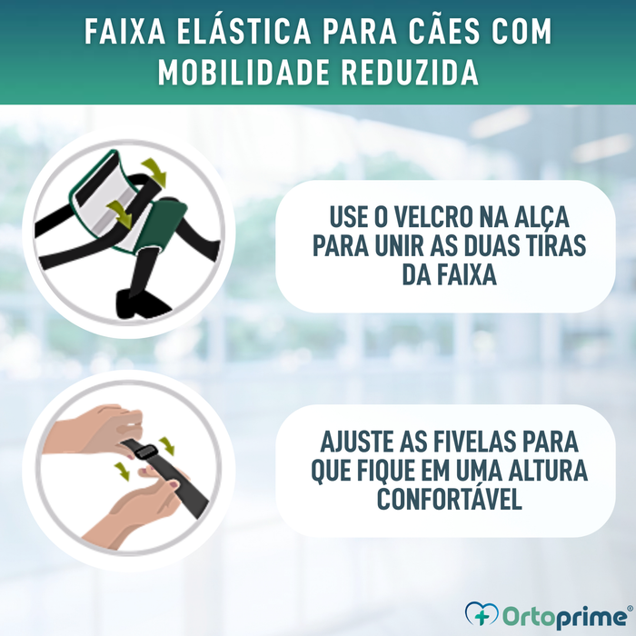 Banda de Apoio para Cães com Mobilidade Reduzida | 5 Tamanhos