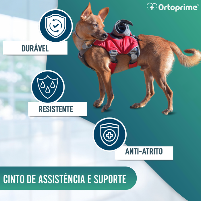 Arnês para Cão de Resgate | Alta Resistência