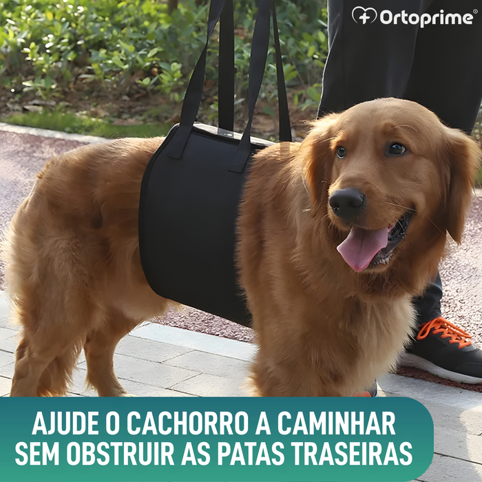 Banda de Apoio para Cães com Mobilidade Reduzida | 5 Tamanhos