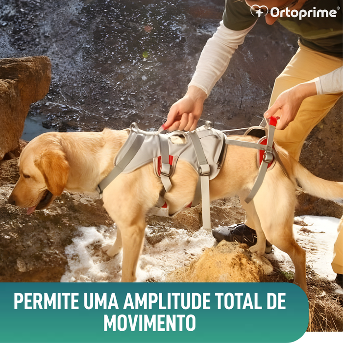 Arnês de Apoio para Cães de Alpinismo | Máxima Resistência