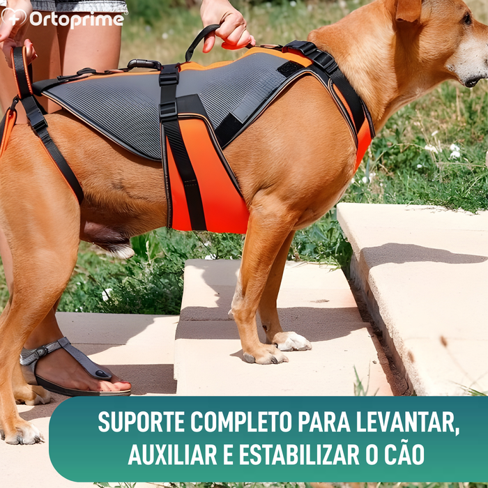 Arnês de Reabilitação Integral para Cães | Material 3D