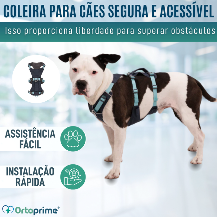 Arnês de Elevação Multiuso Canino | Estrutura Resistente