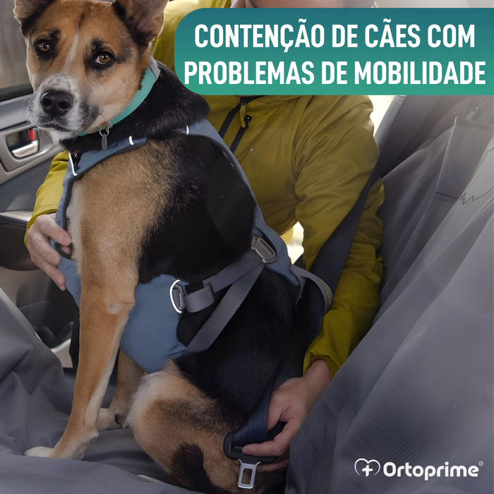 Arnês de Segurança para Transporte Canino | Alta Resistência