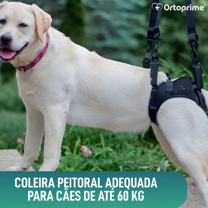Arnês para Cães com Mobilidade Reduzida nas Patas Traseiras