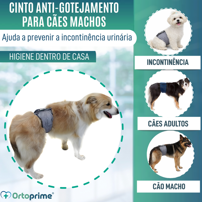 Faixa Antigoteo para Incontinência Canina | Cão Macho