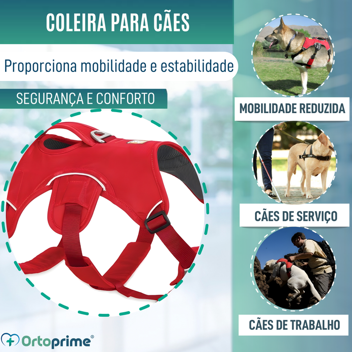 Arnês de Suporte para Cães de Serviço | 5 Tamanhos
