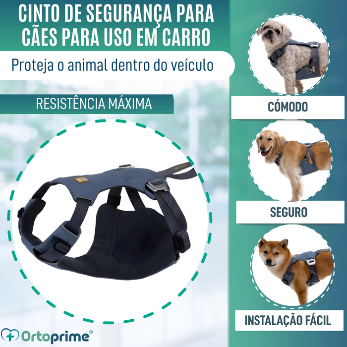 Arnês de Segurança para Transporte Canino | Alta Resistência