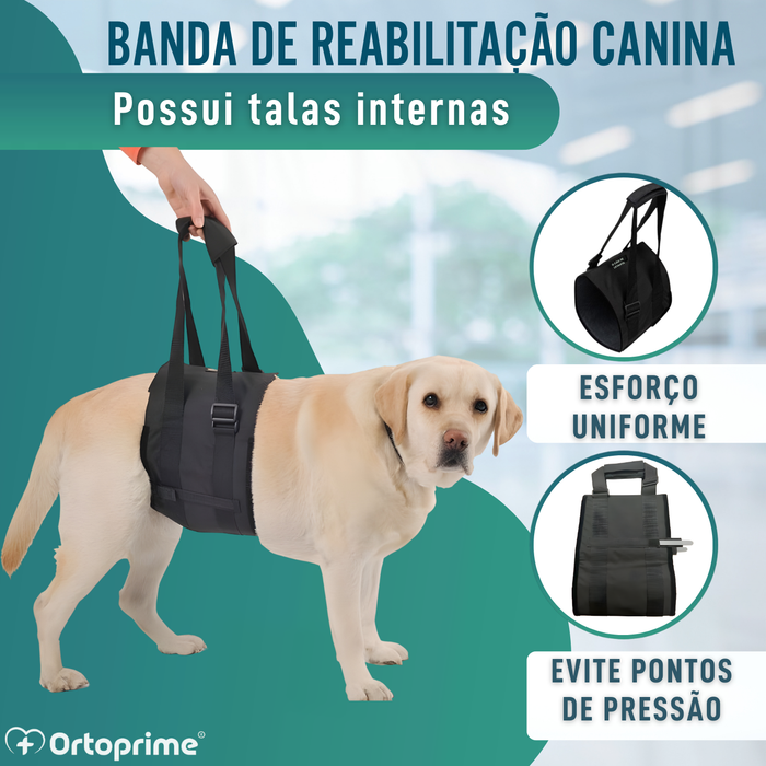 Banda de Apoio para Cães com Mobilidade Reduzida | 5 Tamanhos